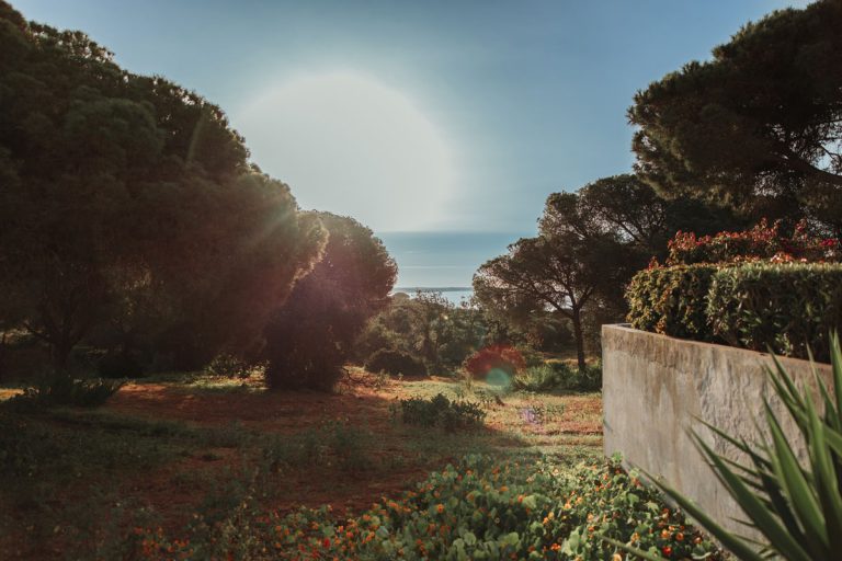 The sun is shining beautifully in Portugal… it’s holiday time!